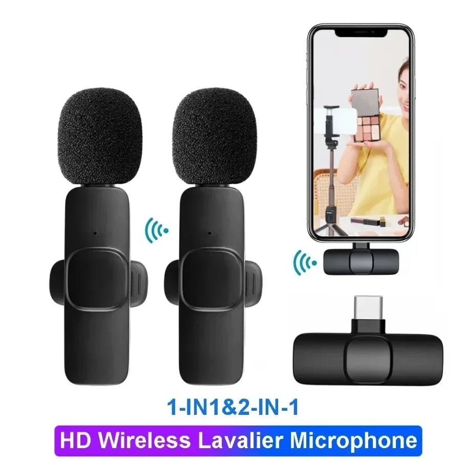 Mini Microphone