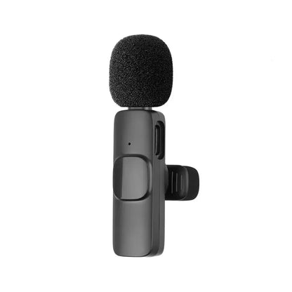 Mini Microphone