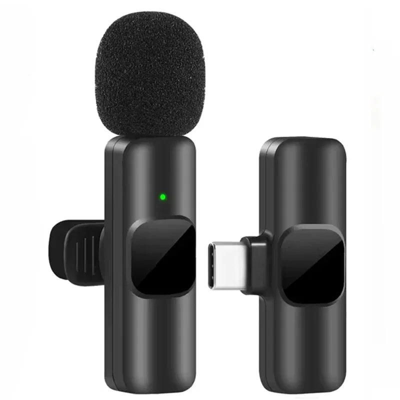Mini Microphone