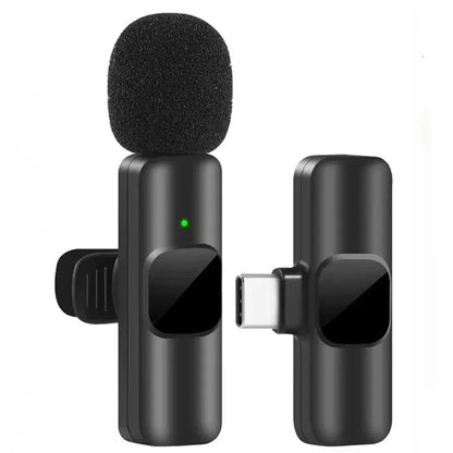 Mini Microphone