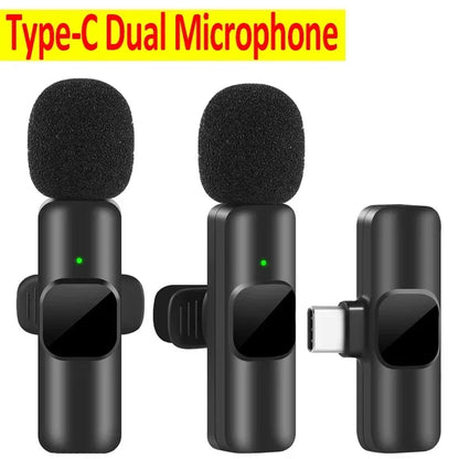 Mini Microphone
