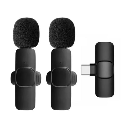 Mini Microphone