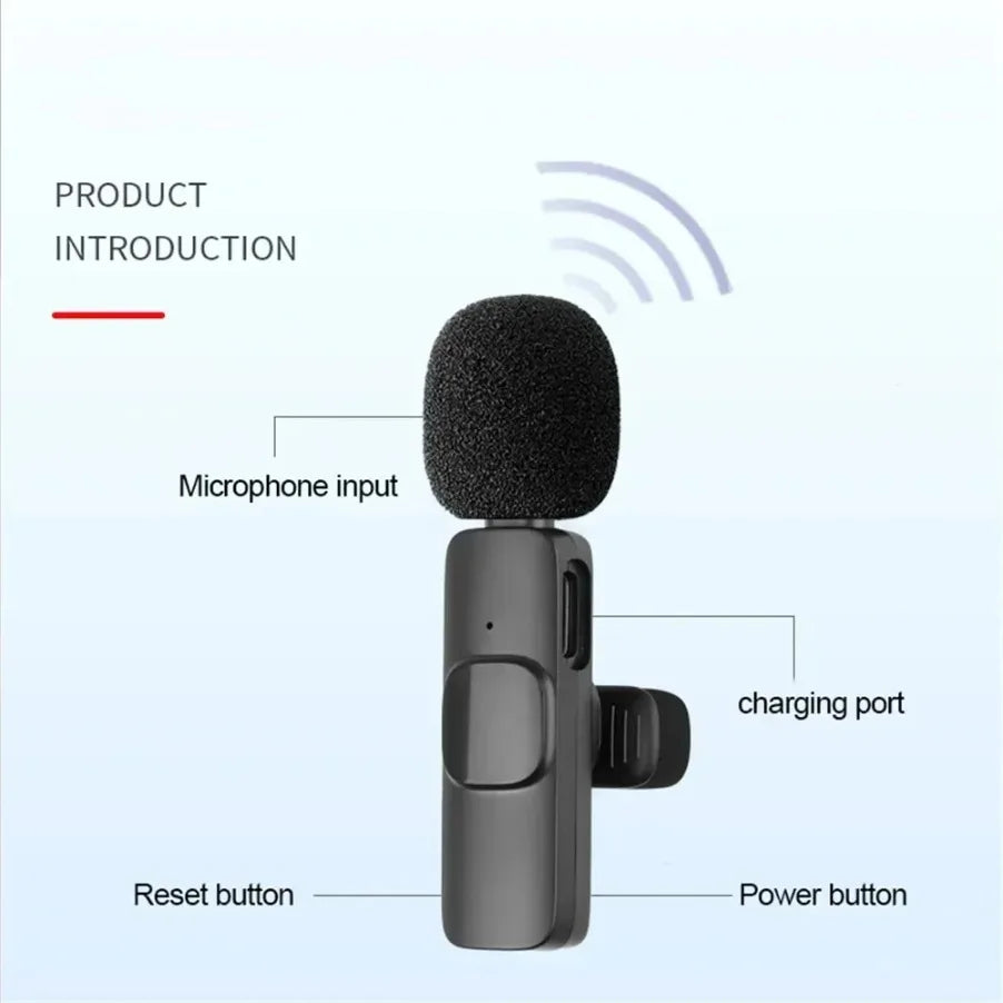 Mini Microphone