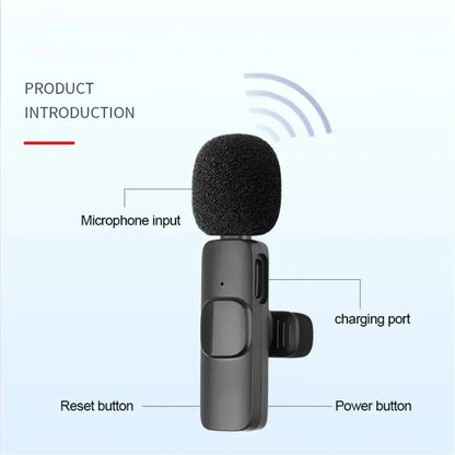 Mini Microphone