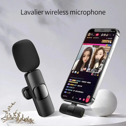 Mini Microphone