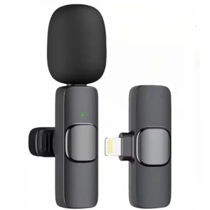 Mini Microphone